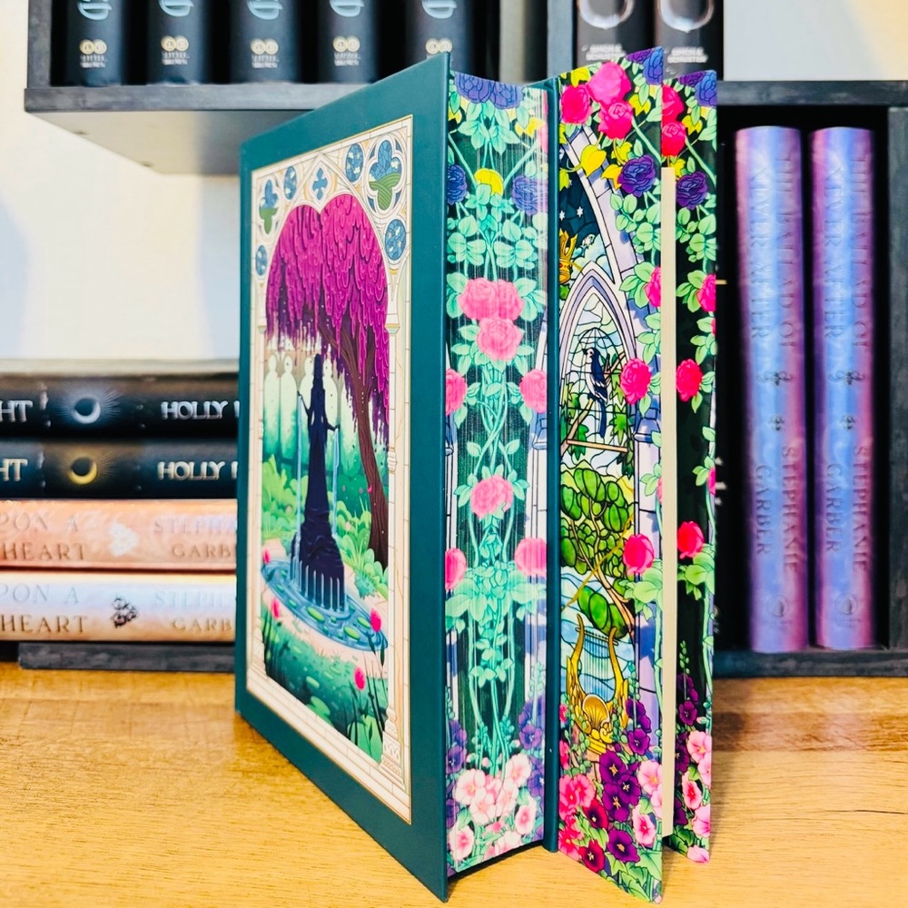 Fairyloot Exclusive Edition A Dance Of Lies by Brittney Arena